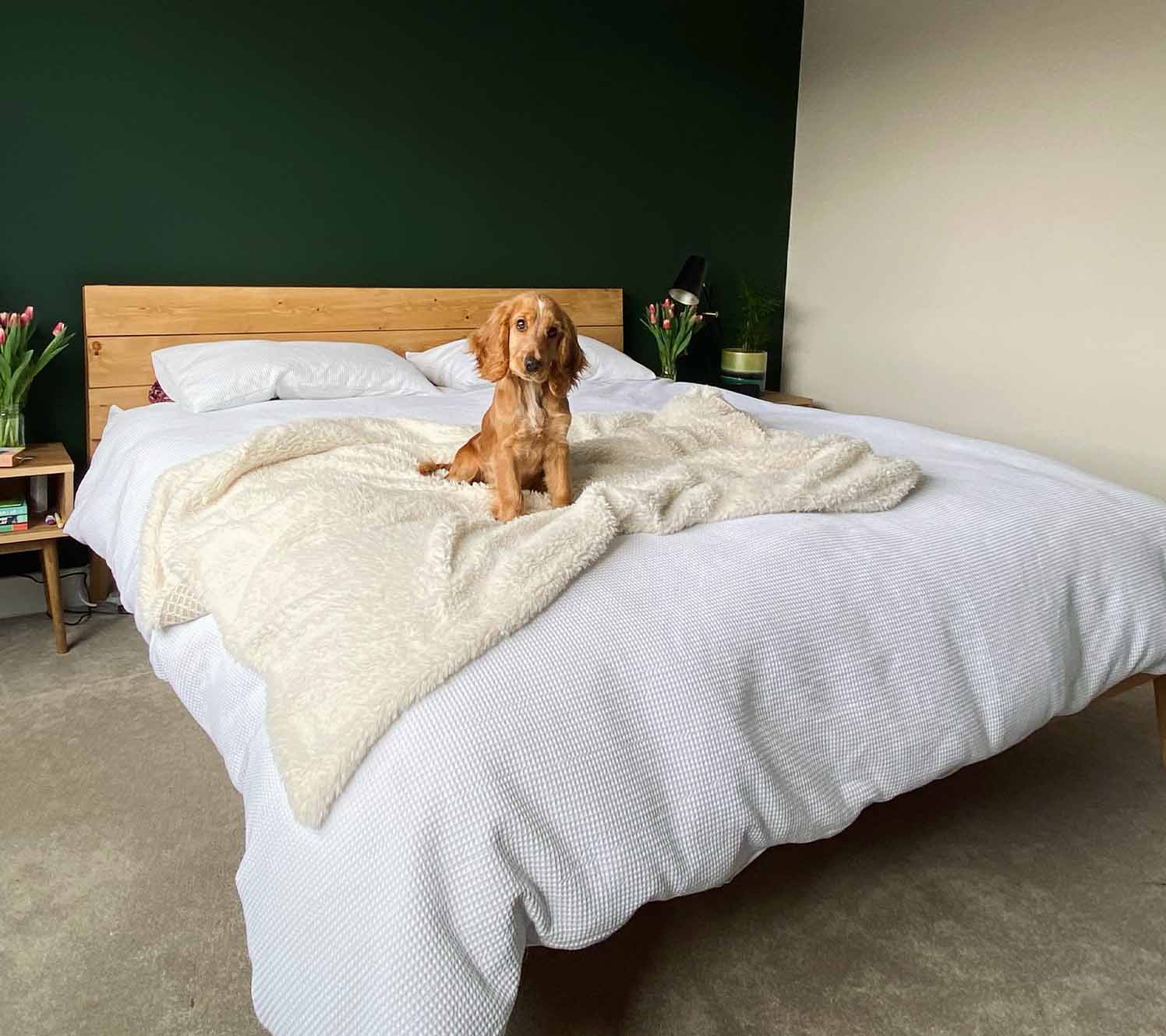 Dunkle Farbtöne für das Hauptschlafzimmer