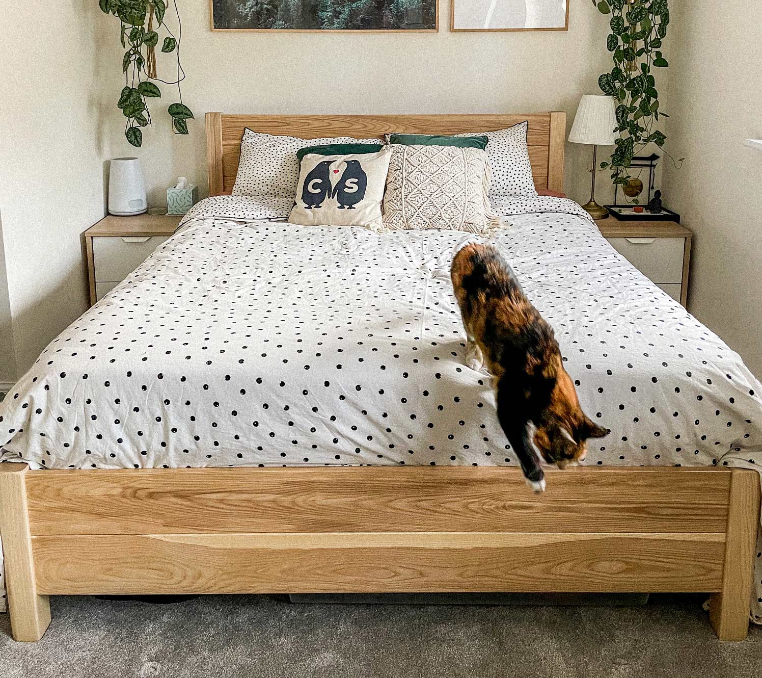 Helle Farben – Deko-Ideen für lange Schlafzimmer