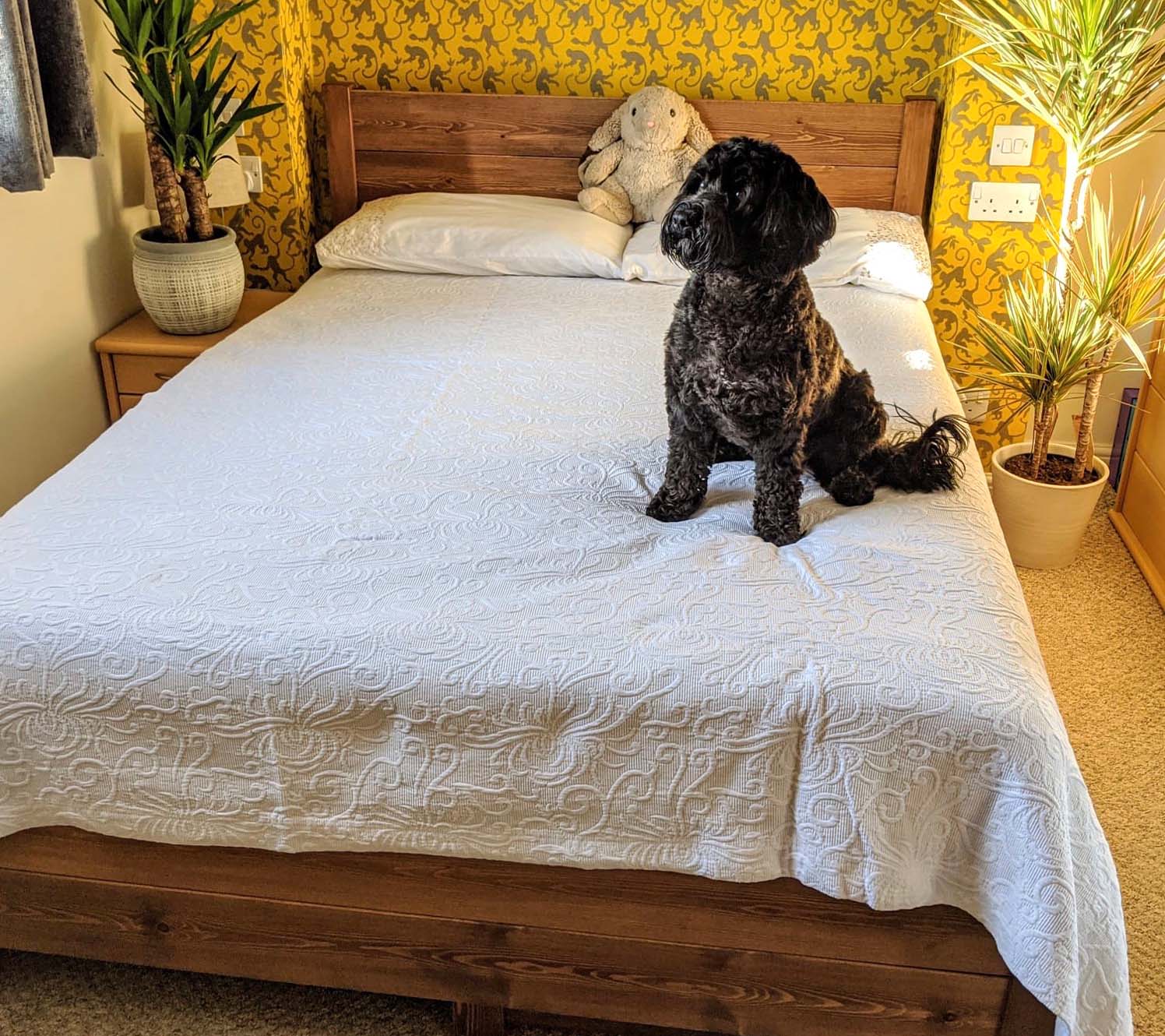 Design für kleine Schlafzimmer: Weniger Kontrast, mehr Kontinuität